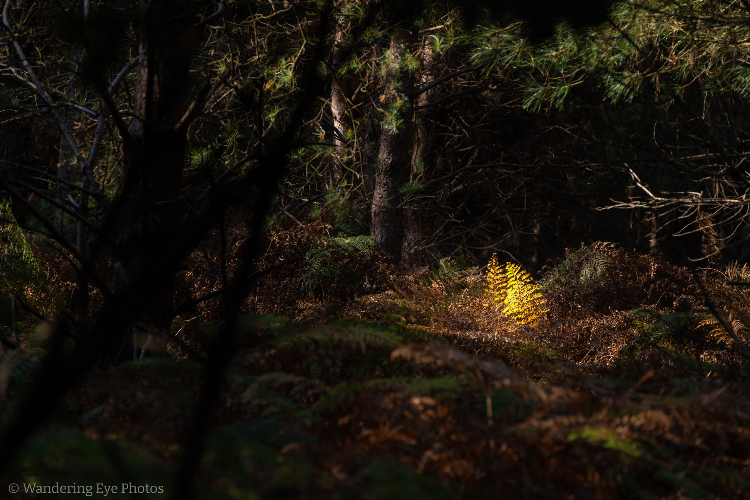 09.20 14.53.58   DSC03656